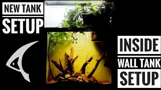 NEW TANK SETUP  || Inside Wall Tank Setup || Cinematic Shot