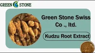 Where to buy Kudzu Root Extract? Factory Supply Pueraria Mirifica Powder/ Pueraria Mirifica Extract