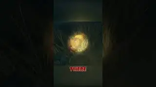 Hunting Lions at night! Part 1  