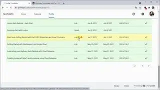 Investigate ⚠ Conflicting Records with 🔍 Quick Search | Qwiklabs Completed Labs Tracker v2.1.0