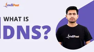 What is DNS | Domain Name System Explained | How DNS Works | Intellipaat