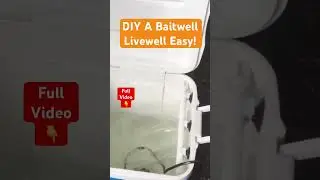 DIY a Baitwell Livewell For Fishing #shorts