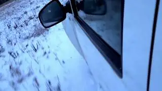 Дастер по полям и просекам!