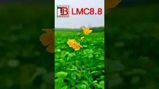 lmc8.4 |best camera |professional photography |best config file |