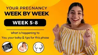 Pregnancy Week 5-8 | Pregnancy week by week | Pregnancy Tips for Trimester 1 | Bharti Goel