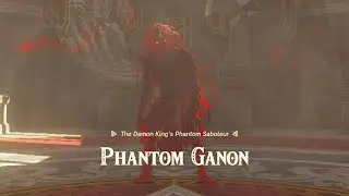 Tears of the Kingdom - Hyrule Castle - Boss Fight (Phantom Ganon)