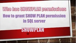 Who has SHOWPLAN permissions on a database ?