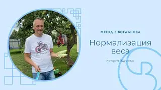 Метод Богданова: Нормализация веса и Восстановление Здоровья