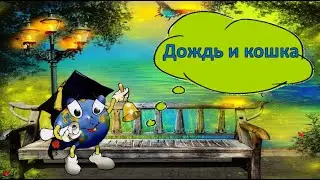 Дождь и кошка- А. Абдураззак
