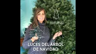 Como poner las luces del árbol de Navidad y como guardarlas.