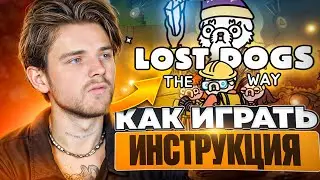 LOST DOGS КАК ИГРАТЬ? / ПОЛНАЯ ИНСТРУКЦИЯ ПО ИГРЕ