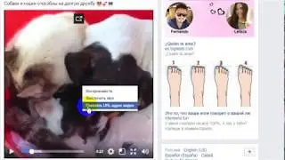 Как скачать видео с фейсбук