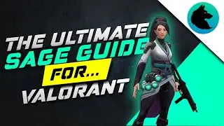 How to Play Sage in Valorant |Ultimate guide for sage in valorant|use sage effectively|nit hunter|