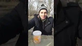 Мандарин  в водке. И что дальше? 