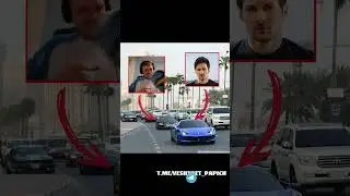 Шейхич решил порофлить над Павлом Дуровым| 