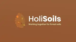 HoliSoils Talks: Raisa Mäkipää (Luke)