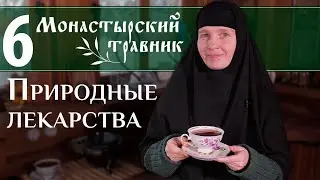 Шиповник и боярышник полезны всем! Монастырский травник.