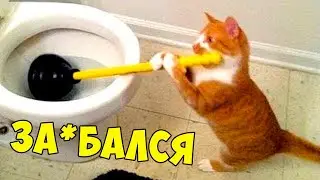 ЛЮТЫЕ ПРИКОЛЫ💥СМЕШНАЯ ОЗВУЧКА ЖИВОТНЫХ😂