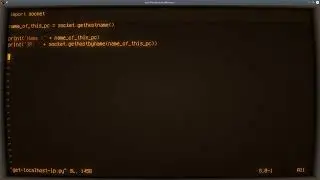 Python ASMR - Get Real IP from Localhost Name - No Talking