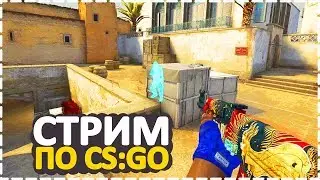 🔵ПОТЕЕМ НА ПОВЫШЕНИЕ КАЛАША В ММ, КЕЙСЫ И РОЗЫГРЫШИ В ПАБЕ // CS:GO СТРИМ — СОБЕРЕМ 20 ЛАЙКОВ?🔥