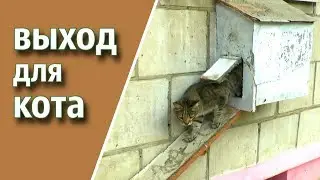 как сделать ВЫХОД КОТА ИЗ КВАРТИРЫ на 1 этаже