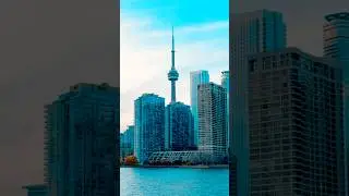 Toronto skyline 🏙️ 