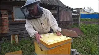 ПЕРВАЯ ПРИВИВКА