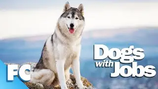 Dogs With Jobs | S2E13: Johnny and the Sled Dogs | Full Animal Documentary TV Show | FC