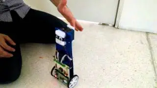 Self Balancing Robot