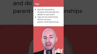 Tags vs Categories: A Beginner's Guide #shorts #seo