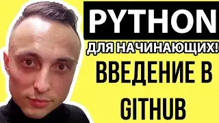 🐍 Введение в Git и GitHub Курс Для Новичков 