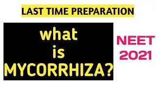 Mycorrhiza | NEET LAST TIME PREPARATION | NEET 2021 ||