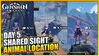 Genshin Impact Shared Sight Opportunity From On High Animal Location