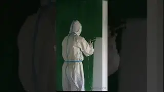 Может ли краска закрасить швы стыки на гладких флизелиновых обоях под покраску?
