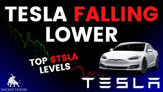 Tesla Stock Price Analysis | Top Levels and Signals for Tuesday, January 23rd, 2024