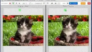 Удаляем фон с фотографии или картинки. Самый быстрый способ.