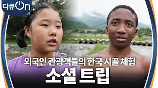 외국인 관광객들의 한국 시골 체험을 할 수 있는 소셜 트립 [다큐ON-Docu ON] | KBS 240831 방송