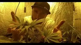 📺 Papa Style - La France Fume [Official Video]