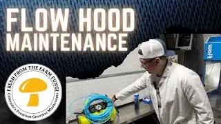 Flow Hood Maintenance