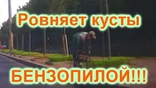 Бензопила и кусты 