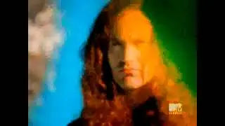 Meat Puppets - Backwater