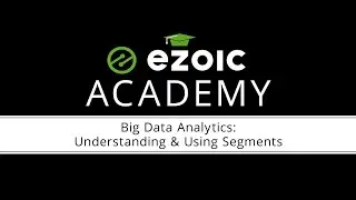 Understanding and Using Segments in Big Data Analytics