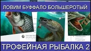 Трофейная рыбалка 2 Ловим Буффало большеротый