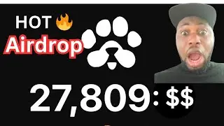 How to make money on Paws 🐾 airdrop