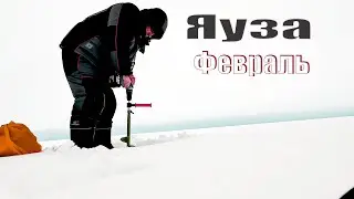 ЯУЗА ФЕВРАЛЬ ГЛУХОЗИМЬЕ