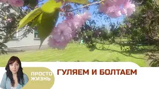 про жизнь и быт в Ирландии. Красивая природа. #простожизнь #vlog #влог #украинцывирландии