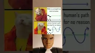 Cat People Will Understand 