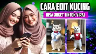 Cara Edit Kucing Joget Tiktok Viral