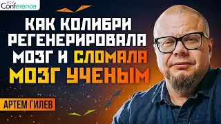 Нейрогенез у человека.  Что влияет на нейропластичность. Возможно ли в зрелом возрасте. Артём Гилев