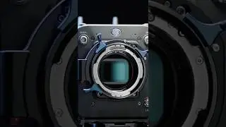 The Arri Standard